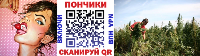Где купить наркотики Бологое COCAIN  АМФЕТАМИН  ГАШ  Меф 