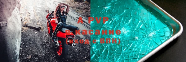 дживик Богородицк